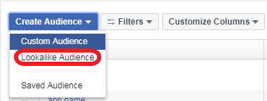 Creating lookalike audience