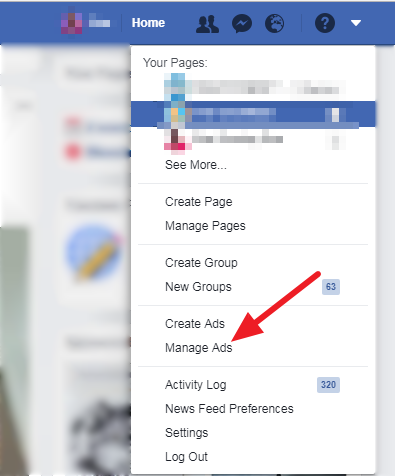 Manage Ads - using facebook ads as a part of your digital marketing campaign