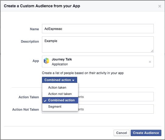 Create custom audience from app