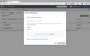 Create Custom Audience out of Customer File
