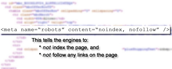 Problems caused when not correctly implementing noindex tag