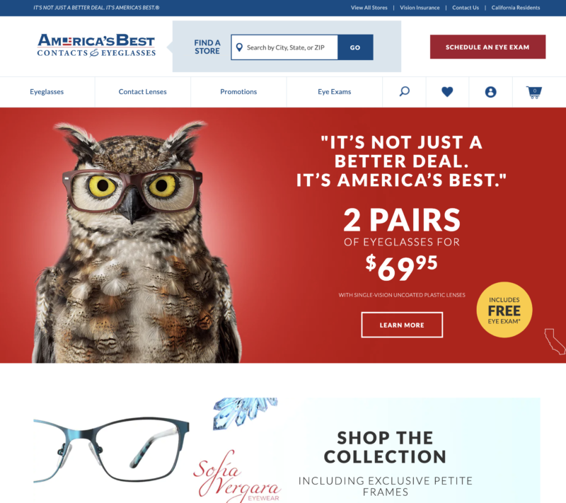 10 best SEO campaign examples eyecare
