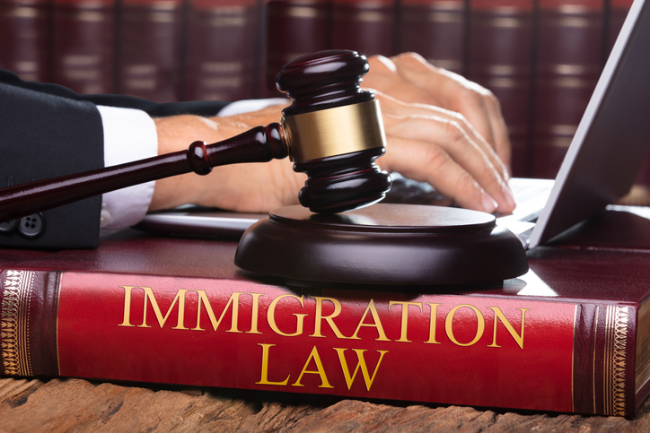Immigration Lawyer Reputation Management Agency