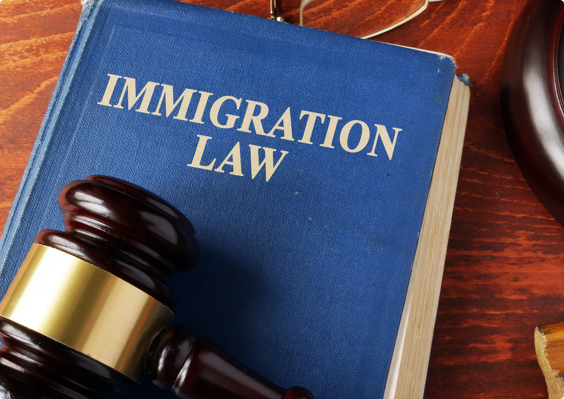 Immigration Lawyer SEO Agency