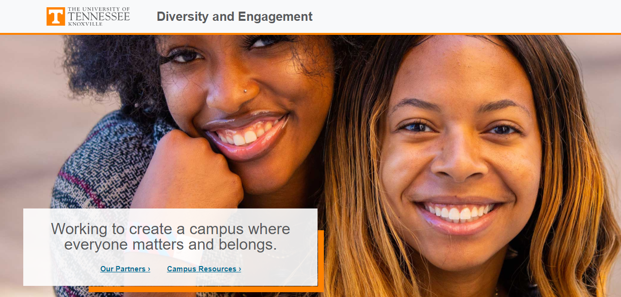 Include diversity opportunities on your college's website