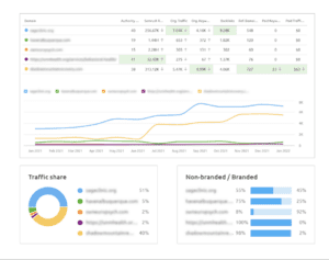 competitor organic search landscape analysis