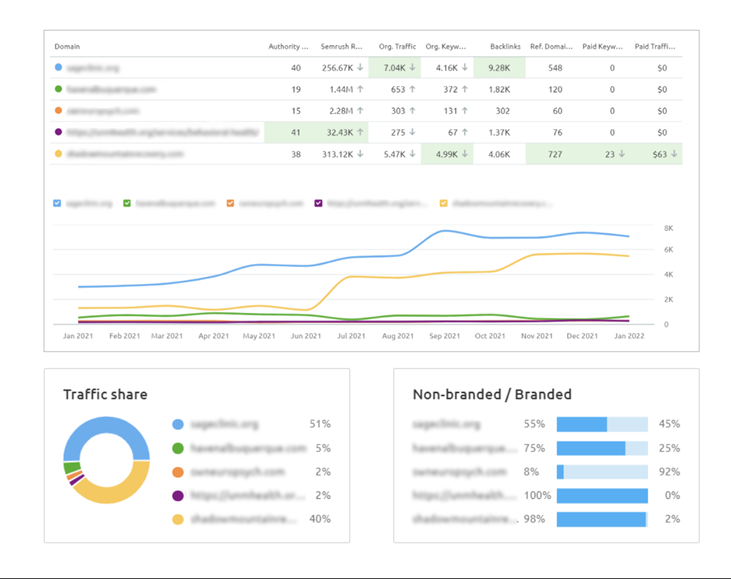 SEO Keywords Audit Tool