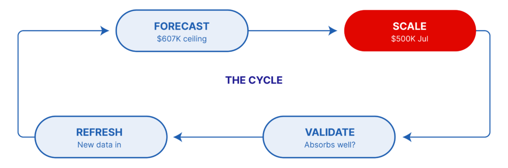 budget forecasting cycle